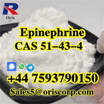 51-43-4 L(-)-Epinephrine low price high quality for sale